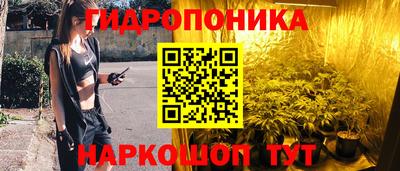 прущая мука Кимры