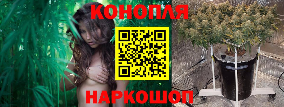 Малгобек  Бошки Шишки марихуана  Марихуана ГИДРОПОН  Вход с VPN  МАРИХУАНА White Widow 